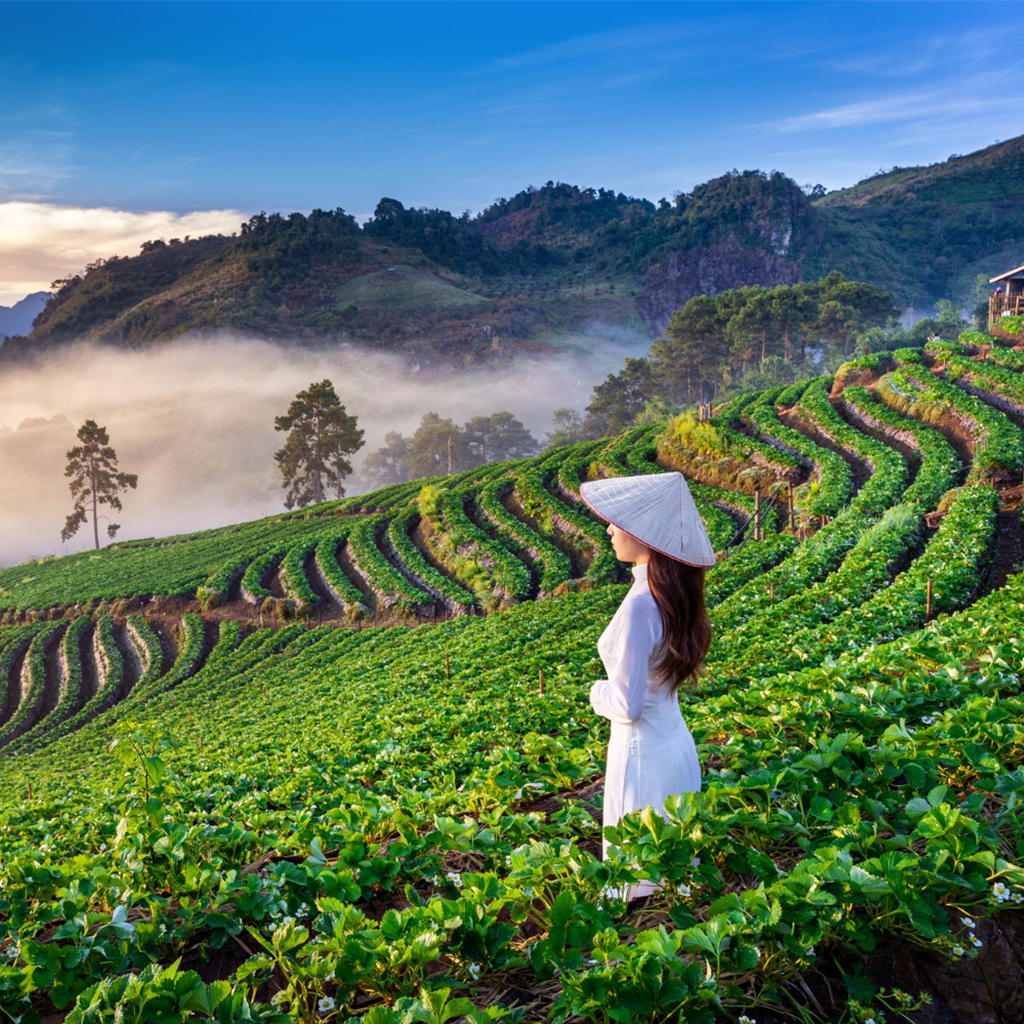 chiang-mai