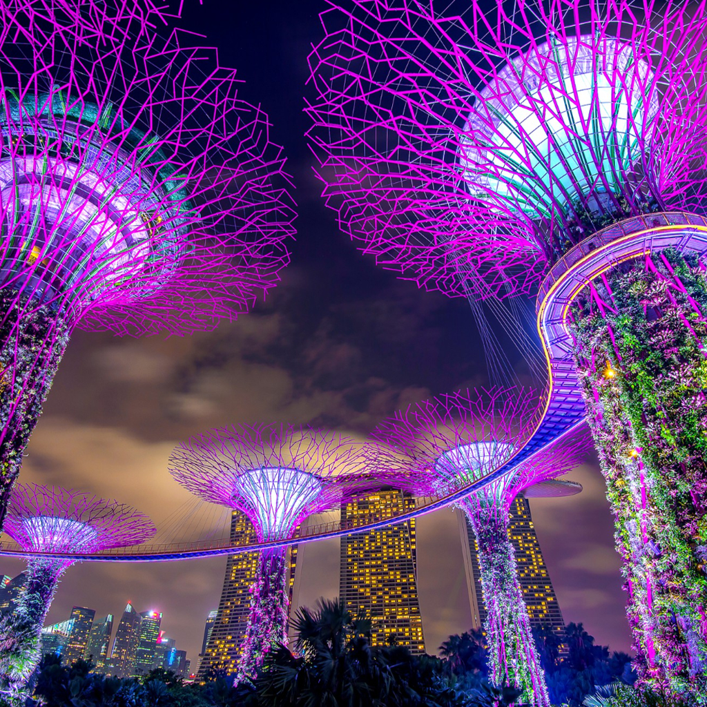 gardens by the bay