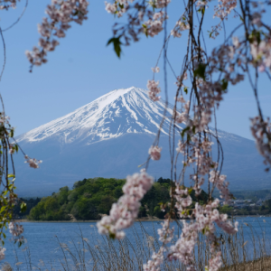 japan14