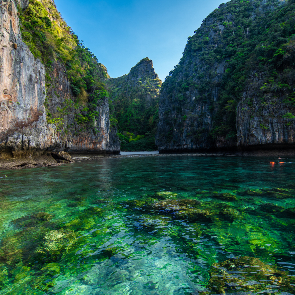 phi-phi-island