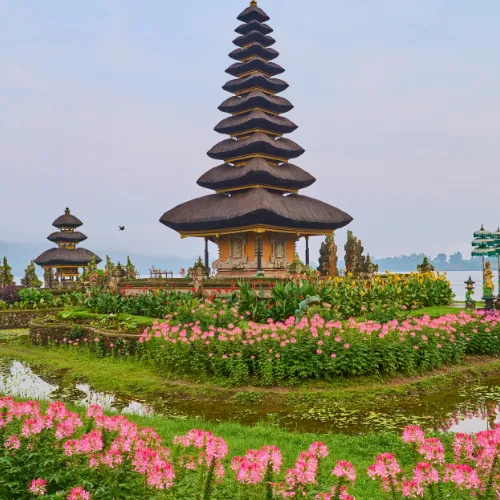 bali