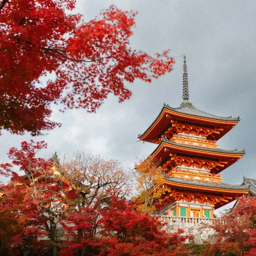 japan