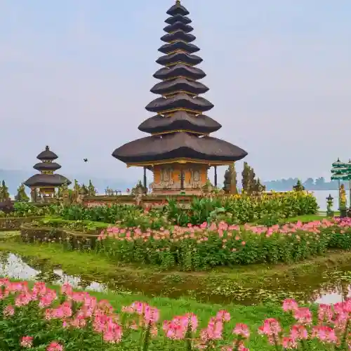 bali-1 (1)