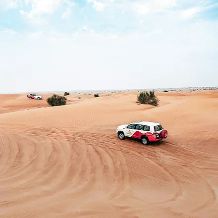 dubai-desert
