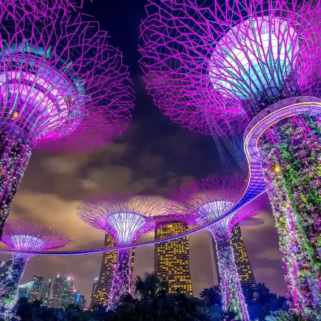 gardens by the bay
