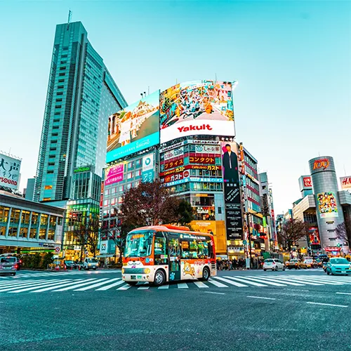 why fly to japan